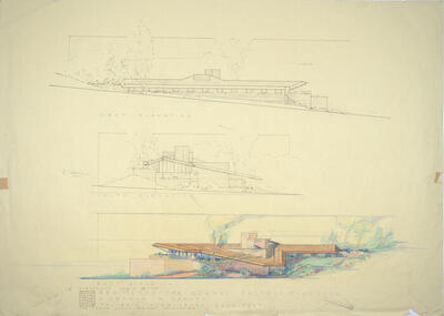 Drawing: Elevations, House for Ralph S. Thompson