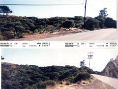 Masterplan of Arch Oboler Estate for Dorothy Blowers, Photo Data File 1: Panoramic Views s19.1 and s20.1