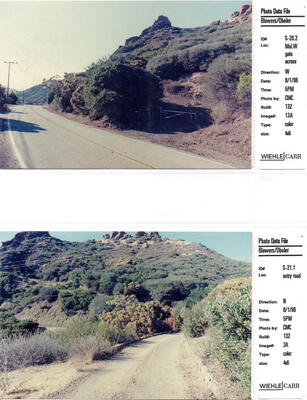 Masterplan of Arch Oboler Estate for Dorothy Blowers, Photo Data File 1: Site Photographs s-20.2 and 21.1