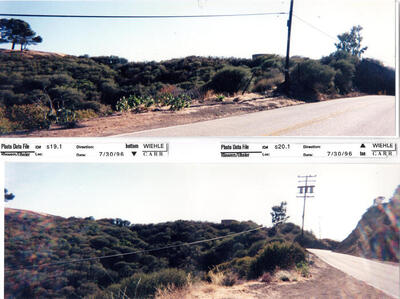 Masterplan of Arch Oboler Estate for Dorothy Blowers, Photo Data File 1: Panoramic Views s19.1 and s20.1