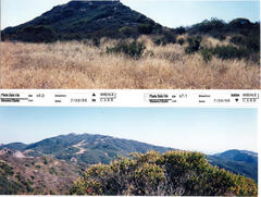 Masterplan of Arch Oboler Estate for Dorothy Blowers, Photo Data File 1: Panoramic Views s6.3 and s7.1
