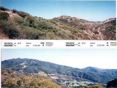 Masterplan of Arch Oboler Estate for Dorothy Blowers, Photo Data File 1: Panoramic Views s6.2 and s5.2