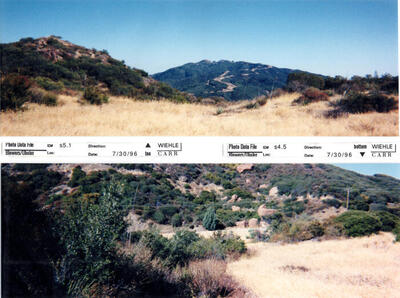 Masterplan of Arch Oboler Estate for Dorothy Blowers, Photo Data File 1: Panoramic Views s5.1 and s4.5