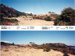 Masterplan of Arch Oboler Estate for Dorothy Blowers, Photo Data File 1: Panoramic Views s9.1 and s8.1