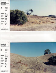 Masterplan of Arch Oboler Estate for Dorothy Blowers, Photo Data File 1: Site Photographs s27.2 and s27.3