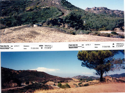 Masterplan of Arch Oboler Estate for Dorothy Blowers, Photo Data File 1: Panoramic Views s14.1 and s16.1