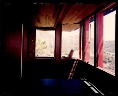 Interior View Showing Window and Bed, Retreat for Eleanor Oboler ("Eleanor's Retreat")