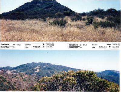 Masterplan of Arch Oboler Estate for Dorothy Blowers, Photo Data File 1: Panoramic Views s6.3 and s7.1