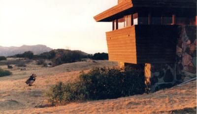 Exterior Perspective View, Retreat for Eleanor Oboler ("Eleanor's Retreat")