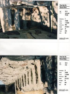 Photo Data File 1: Site Condition Photograph Sheets of "Eleanor's Retreat", Images Rx 1.5 - Rx 1.6