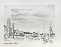 Elevation of Building in the Desert with Javelinas