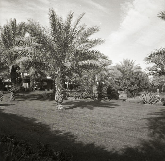 View Of Grounds, Studio for Mrs. Henry R. Luce at Arizona Biltmore Estates