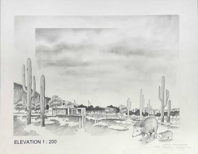Elevation of Building in the Desert with Javelinas