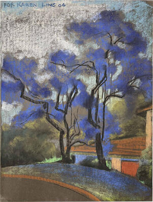 Jacaranda Tree